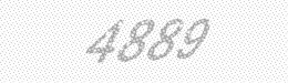 Visual security code — type the characters shown in the image