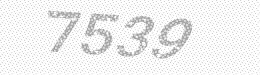 Visual security code — type the characters shown in the image